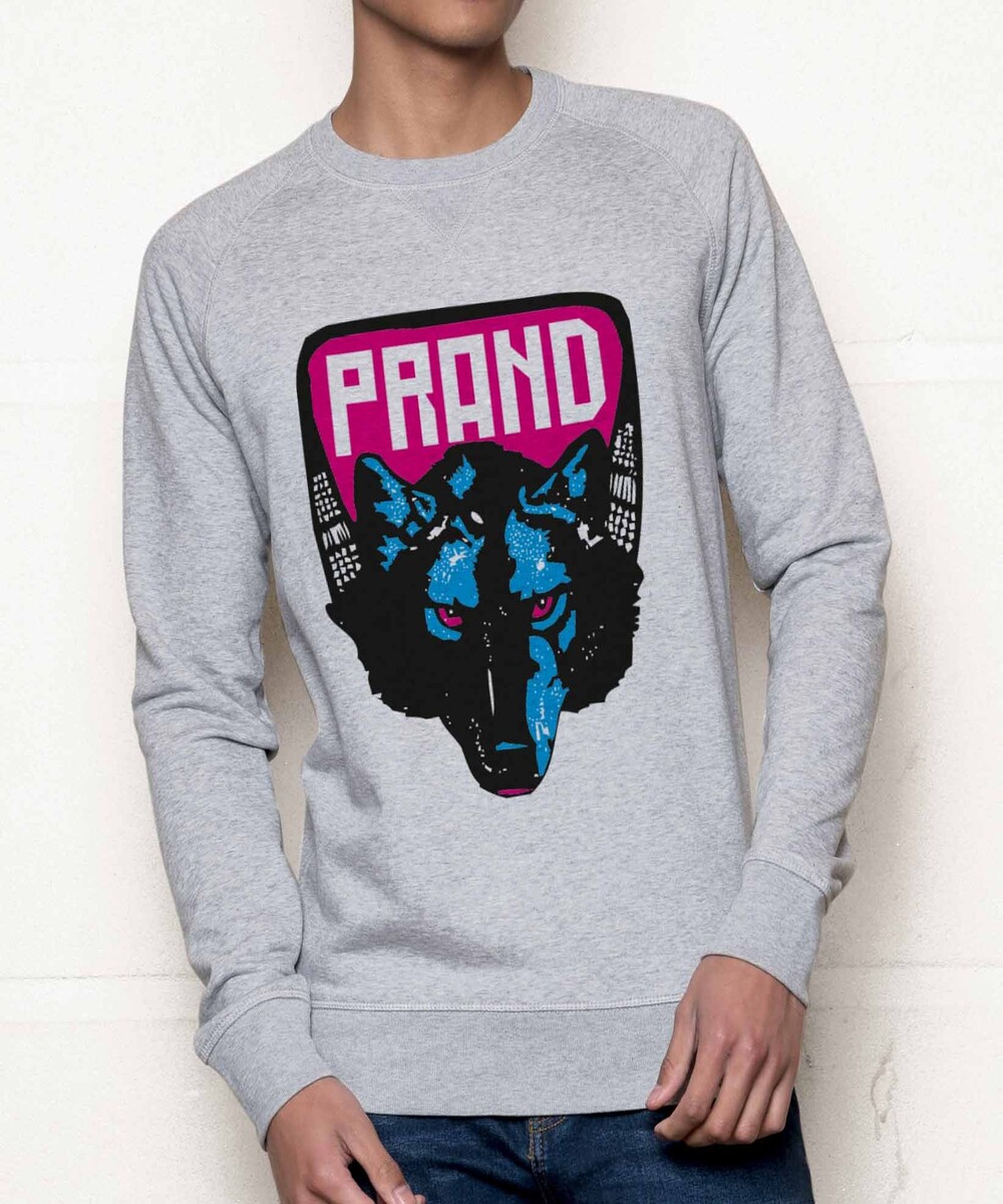 Sweat pour Homme Mystical Wolf de couleur Gris chiné