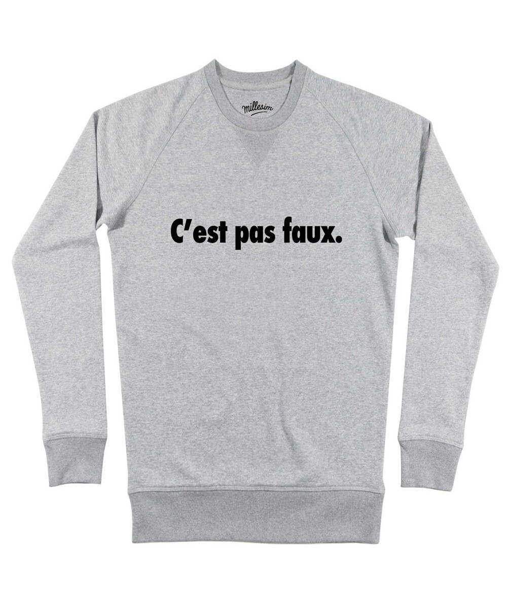 Sweat pour Homme C'est Pas Faux de couleur Gris chiné
