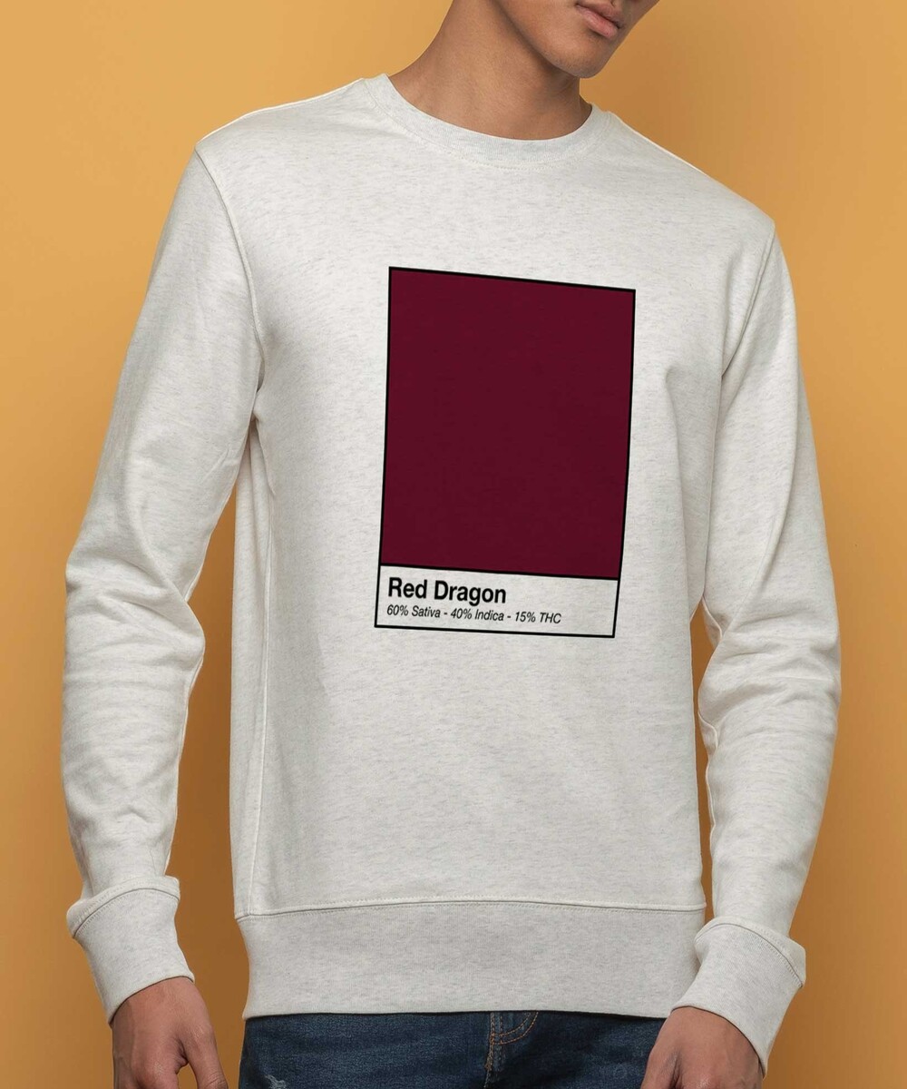 Sweat pour Homme Red Dragon de couleur Beige chiné