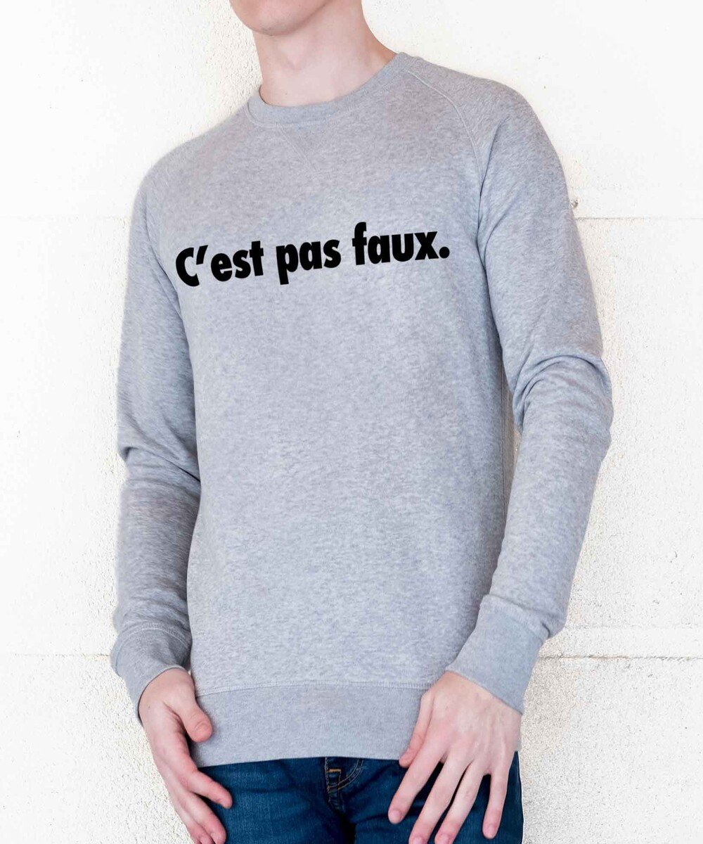 Sweat pour Homme C'est Pas Faux de couleur Gris chiné