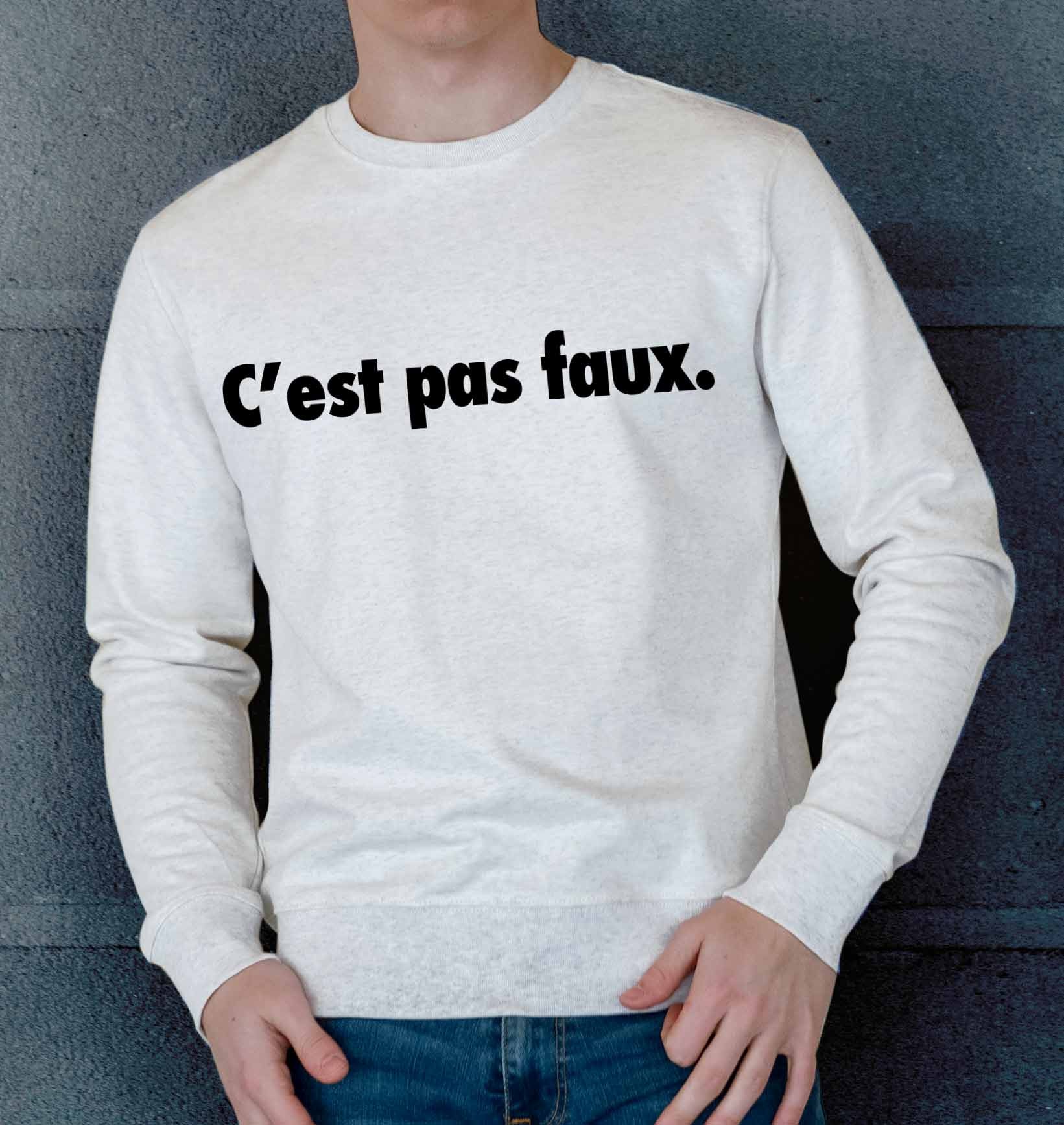 Sweat C'est Pas Faux de couleur Gris chiné