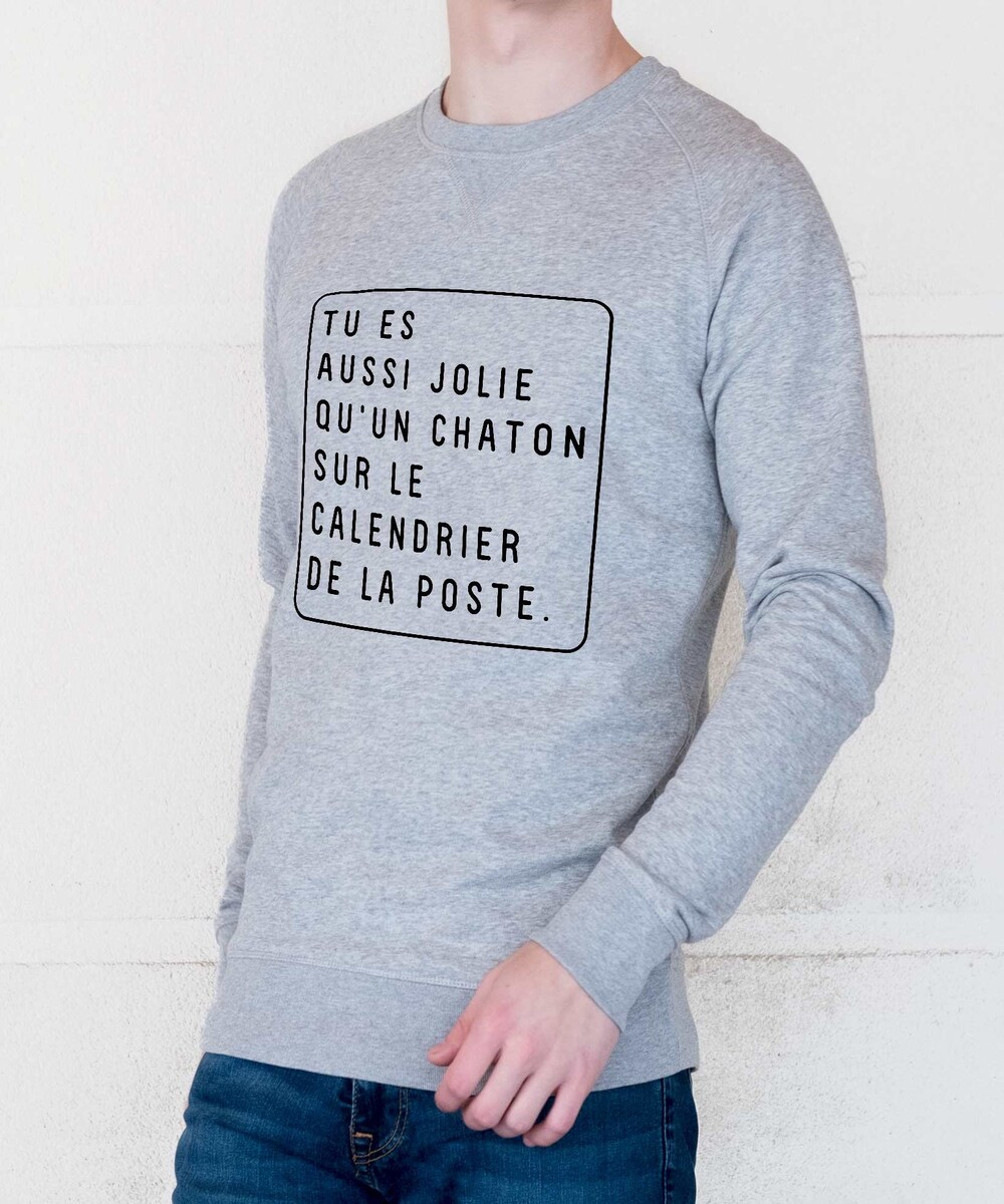Sweat pour Homme Tu Es Aussi Jolie de couleur Gris chiné