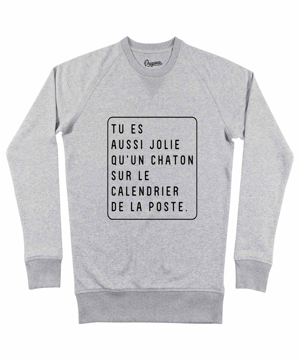 Sweat pour Homme Tu Es Aussi Jolie de couleur Gris chiné