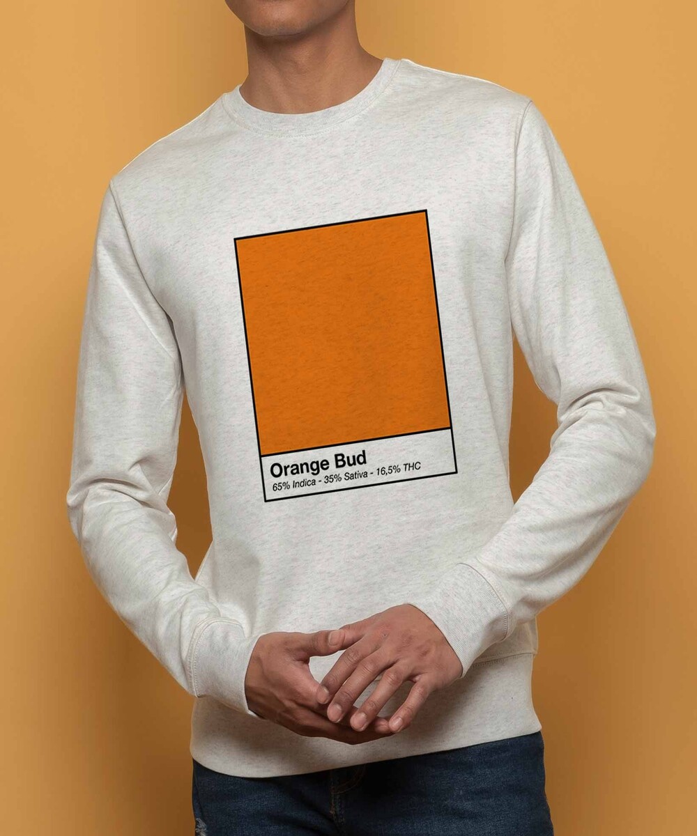 Sweat pour Homme Orange Bud de couleur Beige chiné