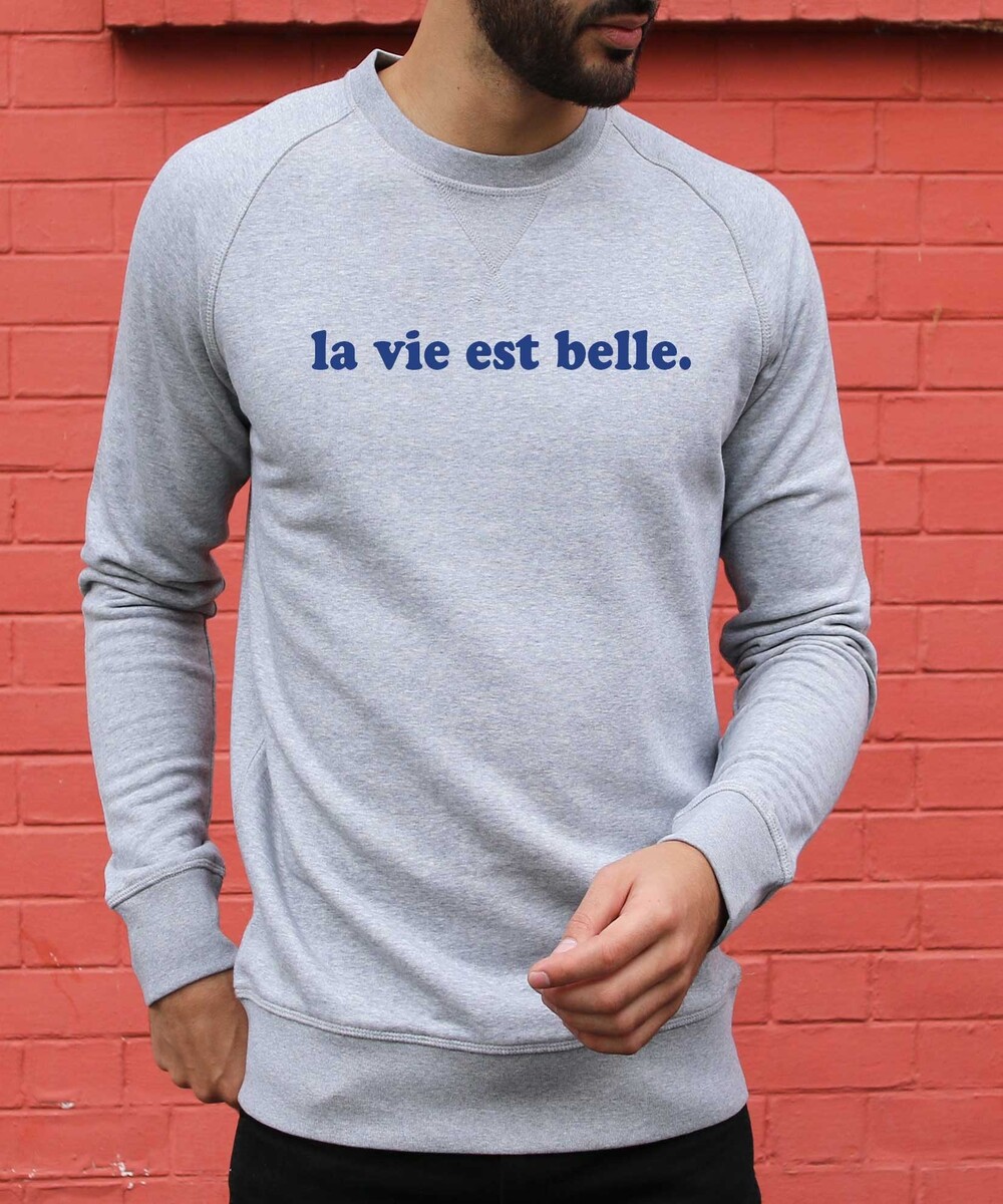 Sweat pour Homme La Vie Est Belle de couleur Gris chiné