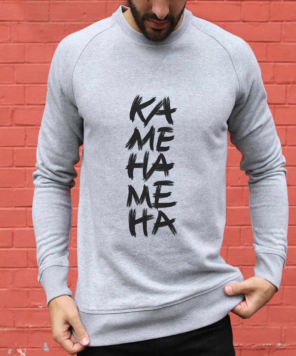 Sweat pour Homme Kamehameha de couleur Gris chiné