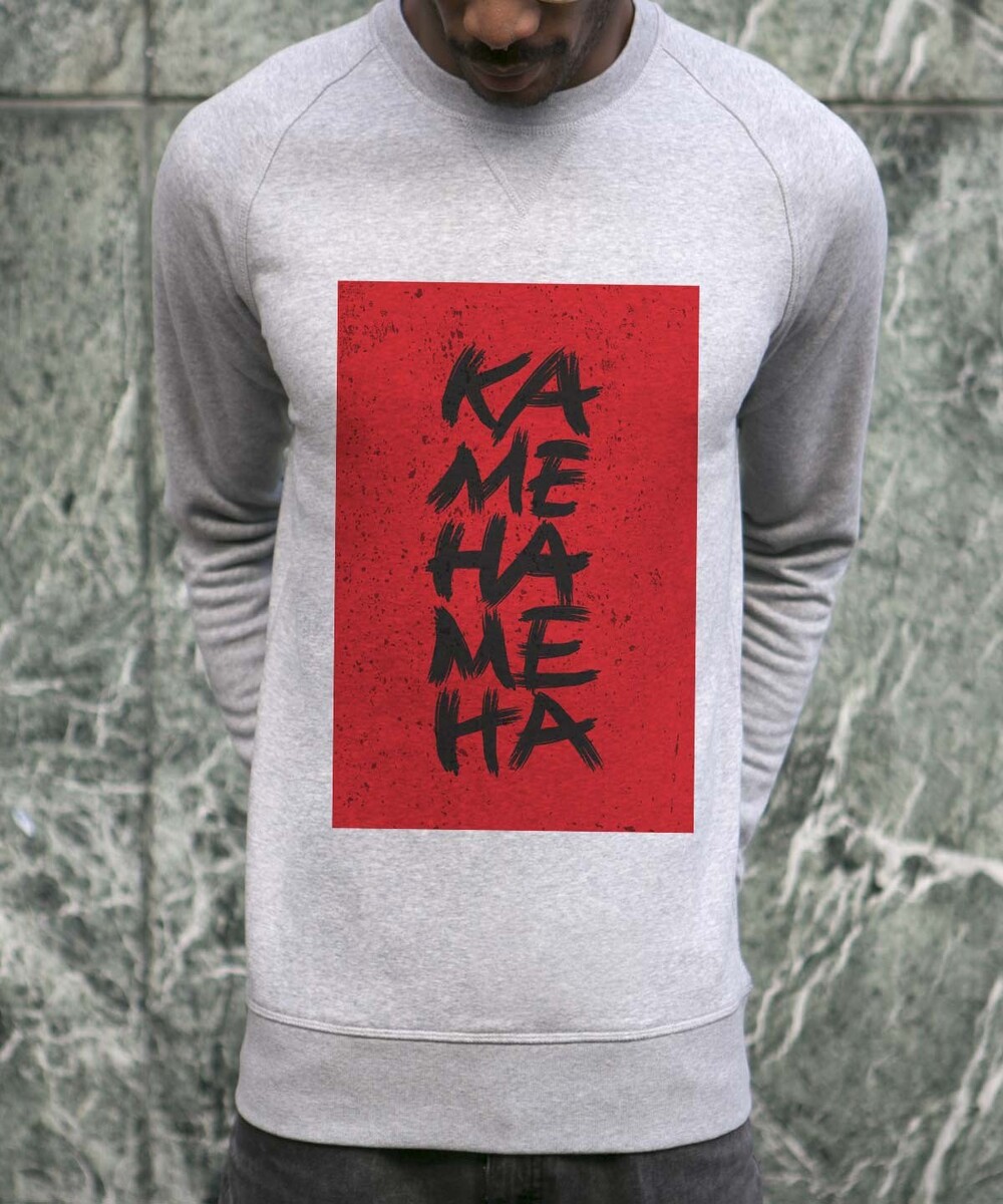 Sweat pour Homme Kamé Hamé Ha de couleur Gris chiné