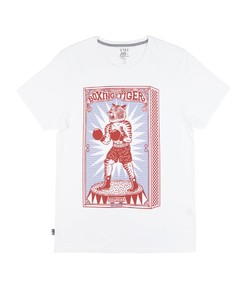 T-shirt pour Homme Boxing Tiger de couleur Blanc