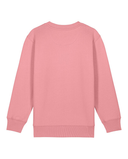 Sweat Enfants avec un Mini Changer 2.0 Grafitee