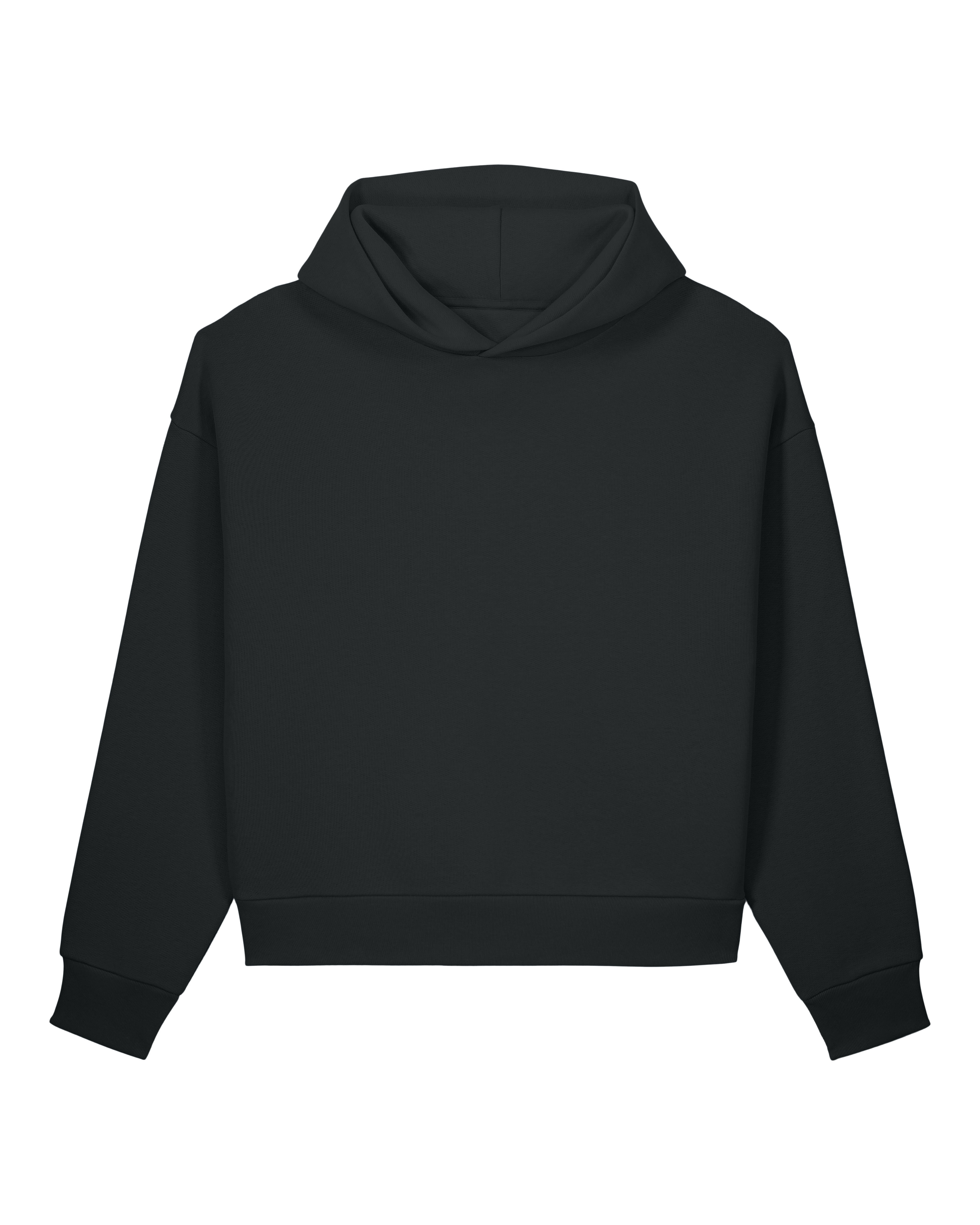 Hoodie Sculpter de couleur Black - C002 de la marque Stanley/Stella