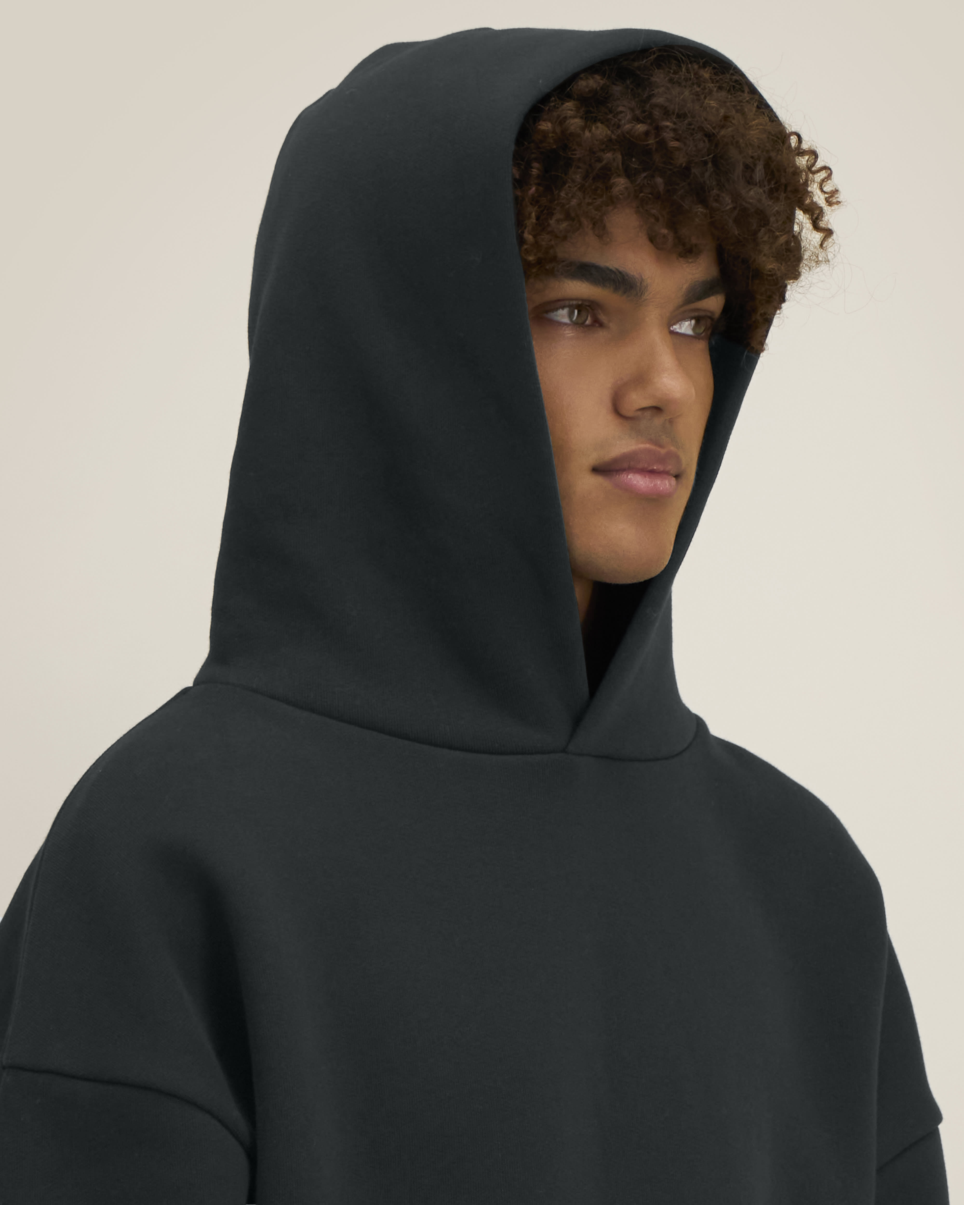 Hoodie Sculpter de couleur Black - C002 de la marque Stanley/Stella
