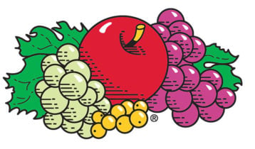 Logo Fruit Of The Loom